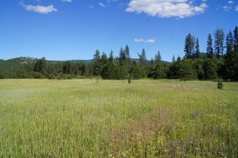 4579 Reservation Rd - Photo 7