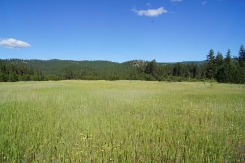4579 Reservation Rd - Photo 8
