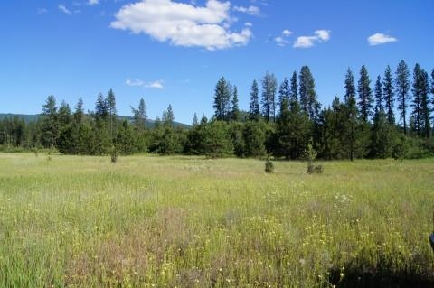 4579 Reservation Rd - Photo 9