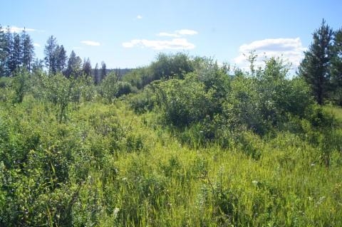 4579 Reservation Rd - Photo 10