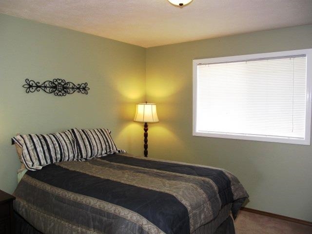 10703 N Mystic Ct - Photo 11