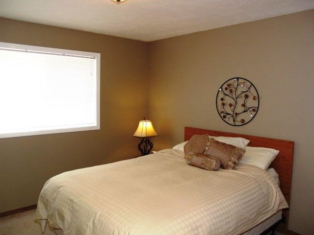 10703 N Mystic Ct - Photo 12