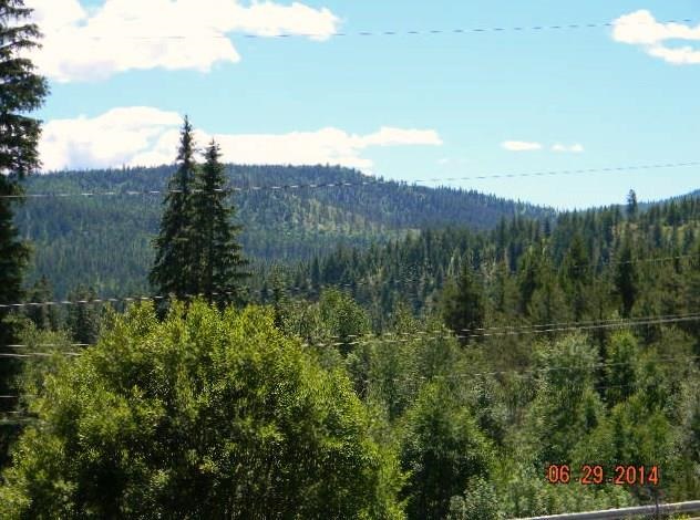 541 Gray Road - Photo 8