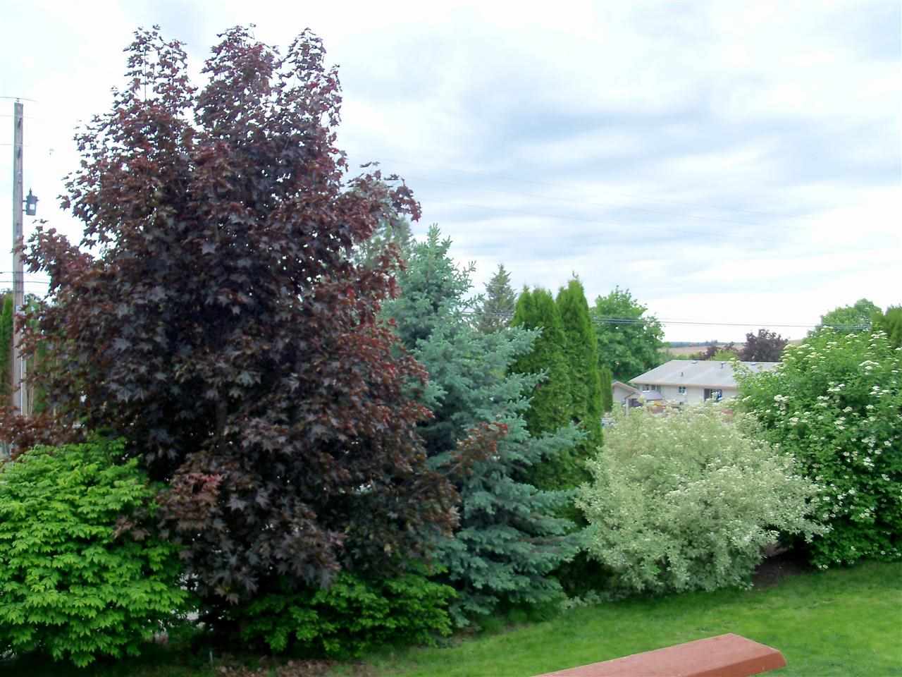 1509 Ridgeview Drive - Photo 19