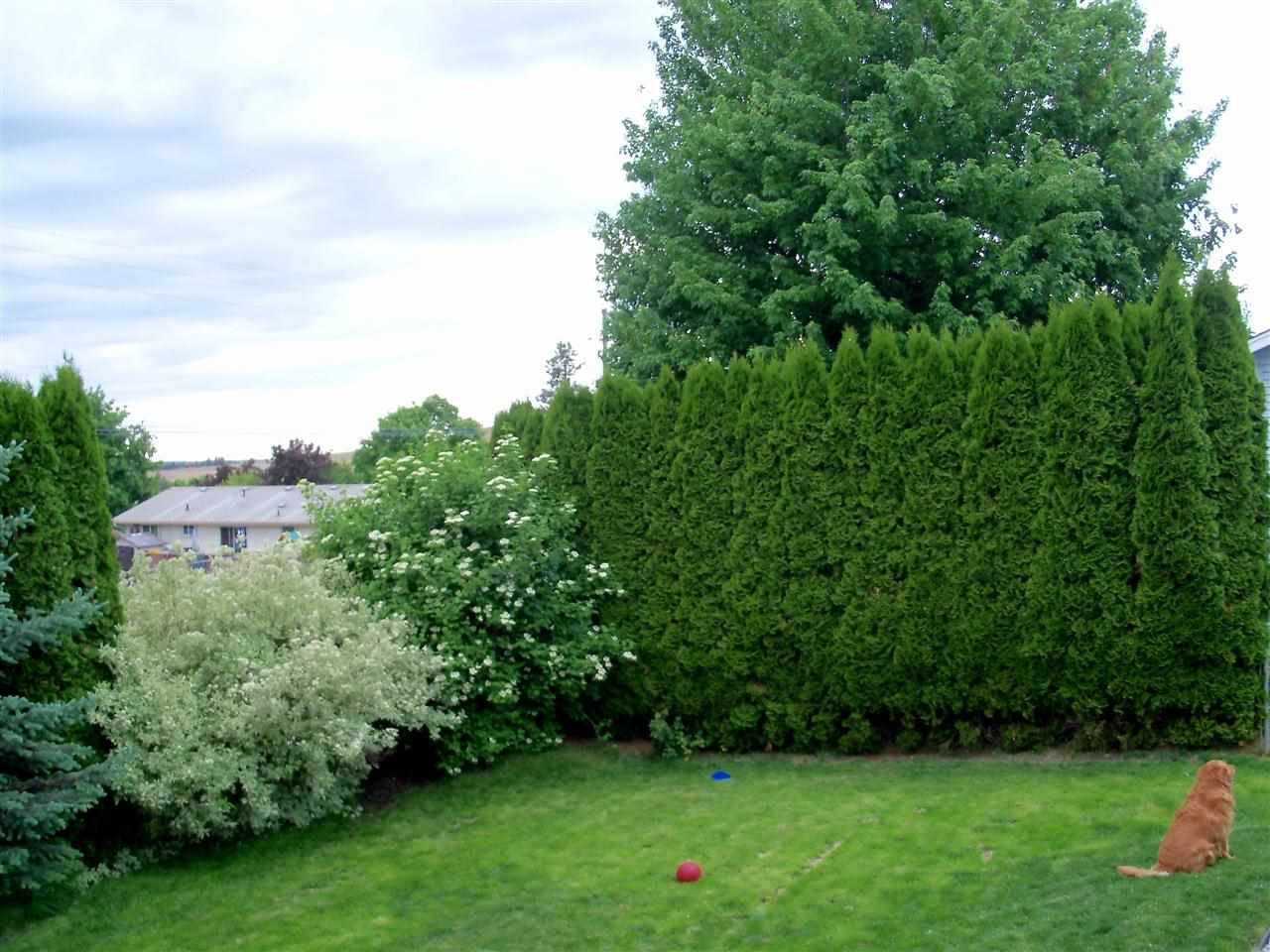 1509 Ridgeview Drive - Photo 20