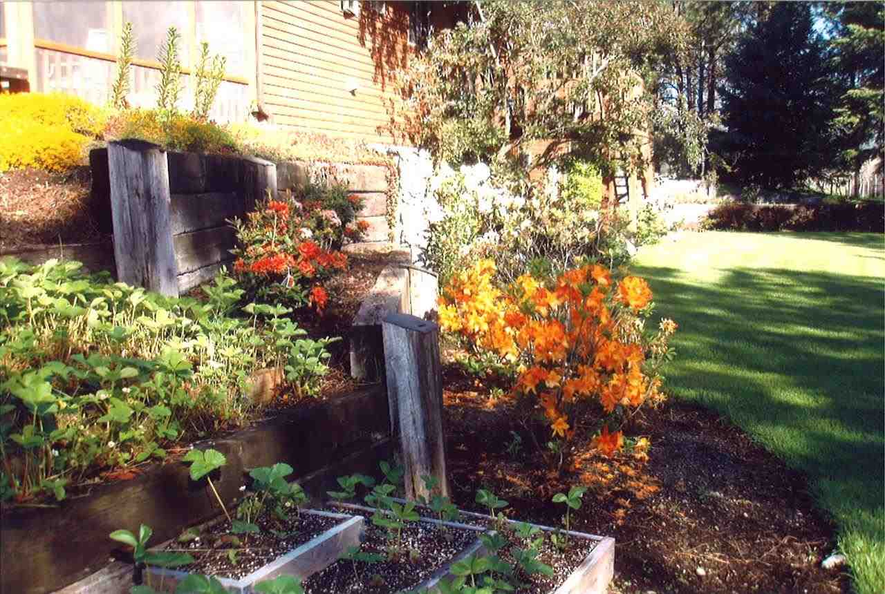 52058 E Eagle View - Photo 12