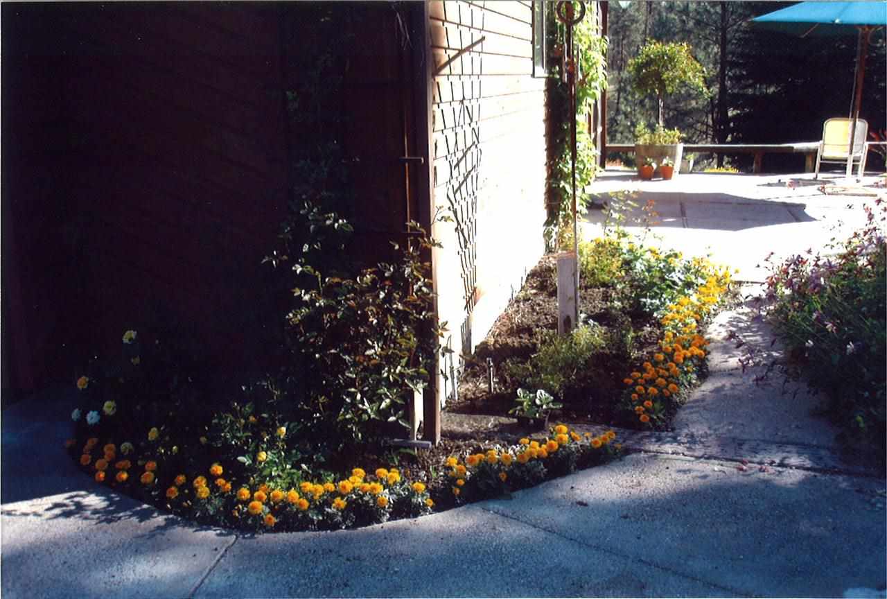 52058 E Eagle View - Photo 18