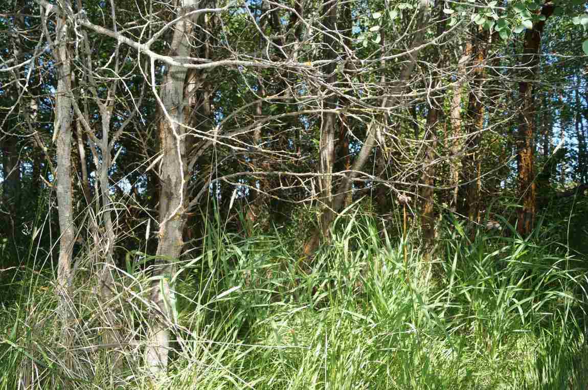 7112 S Spotted Rd - Photo 15
