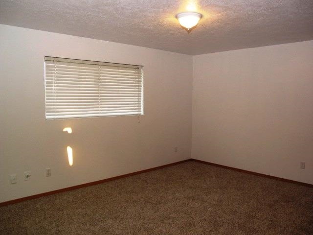 5108 N Lucille Rd - Photo 8