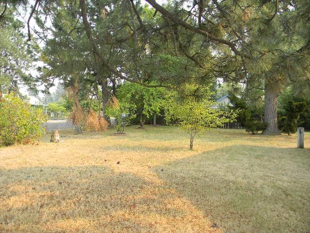 207 W Dalke Ave - Photo 15