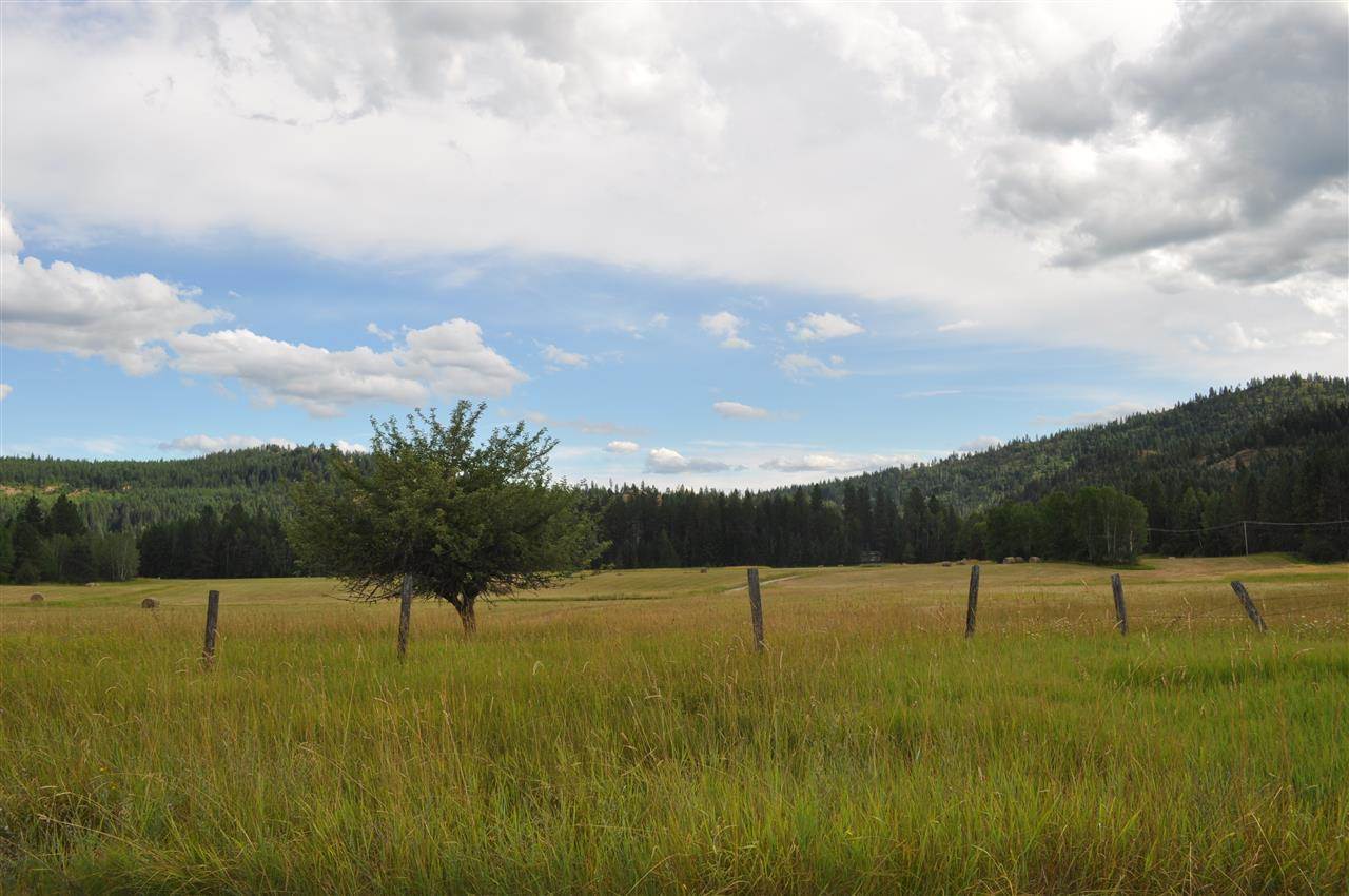 429313 HWY 20 - Photo 8