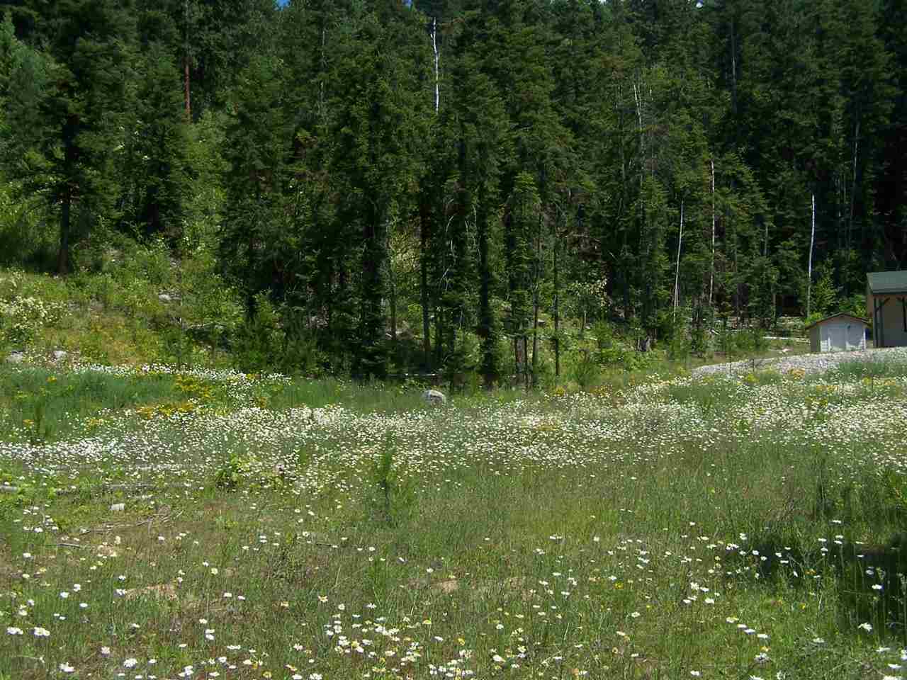 281 YOCUM LAKE - Photo 9