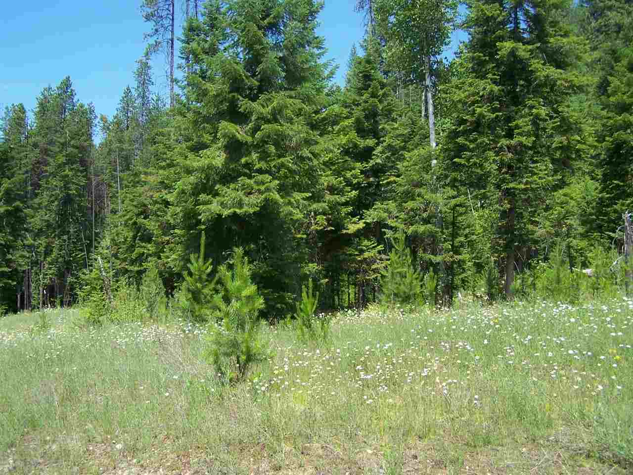281 YOCUM LAKE - Photo 10
