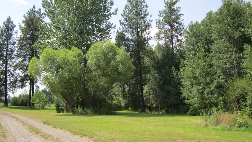 5105 N Gordon Rd - Photo 4