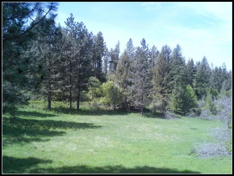 1763 A Hwy 395 - Photo 19