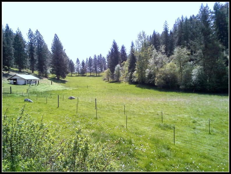 1763 A Hwy 395 - Photo 20
