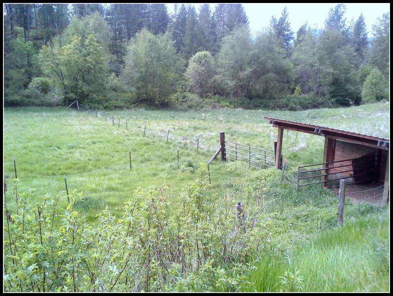 1763 A Hwy 395 - Photo 10