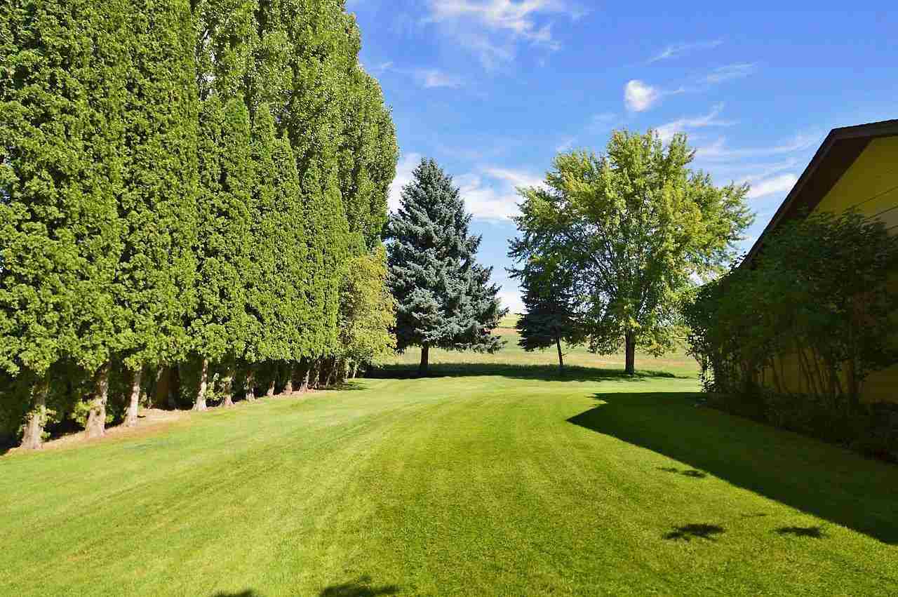 14424 W Cameron - Photo 17