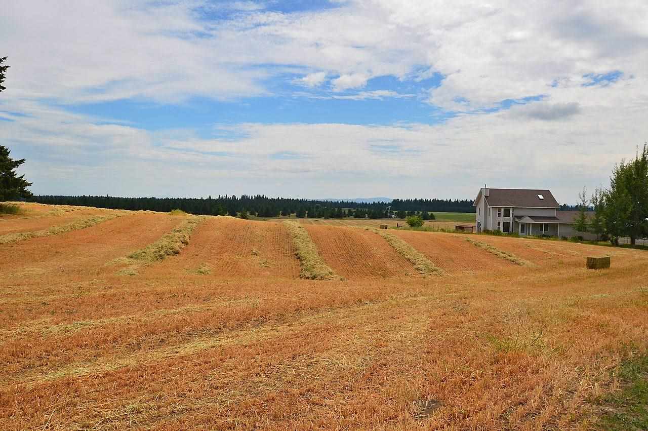 3217 W Oregon Rd - Photo 15