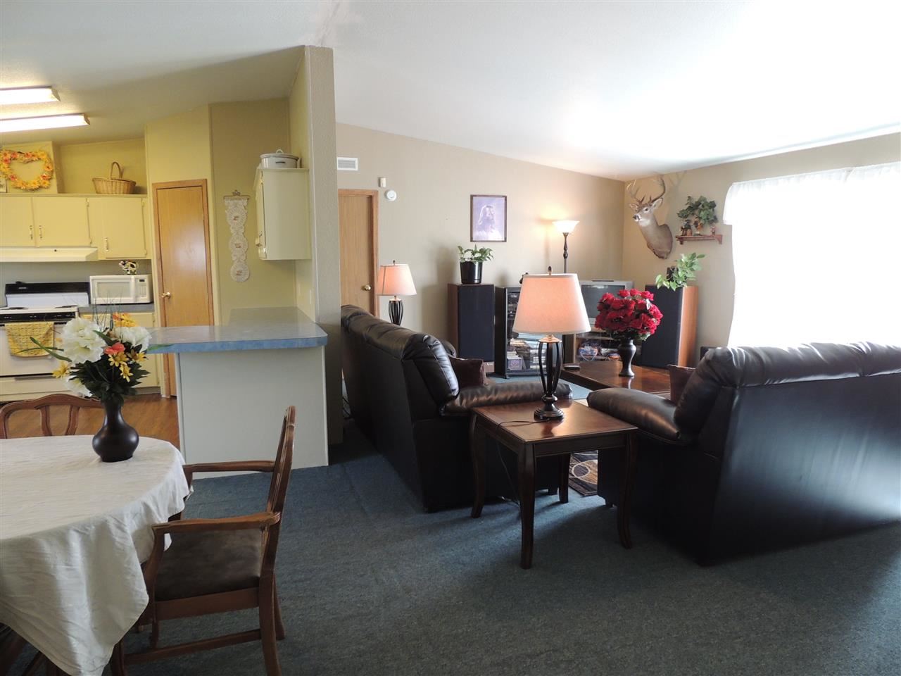 13716 N DOVER - Photo 10
