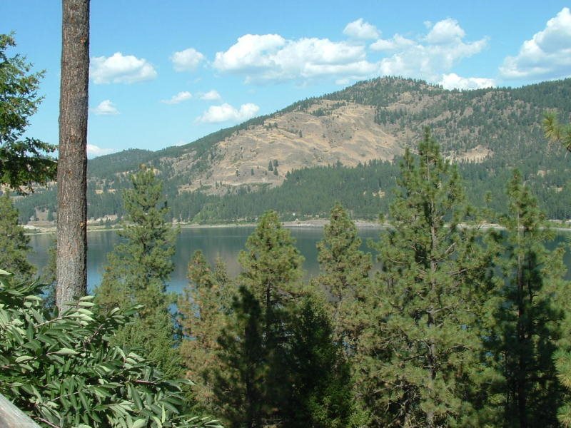 1080-B HARBERD Way - Photo 15