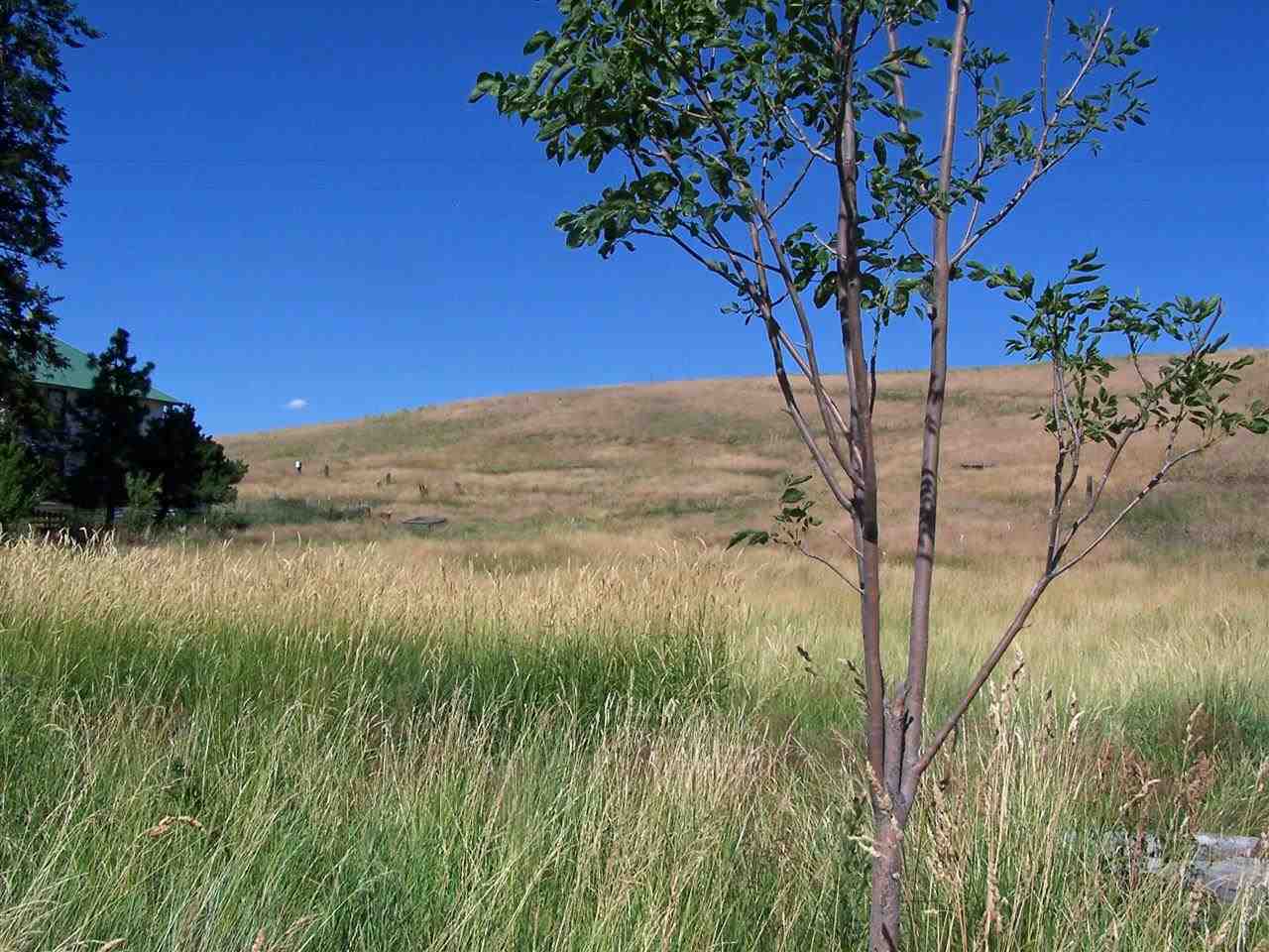 1902 Gashous Rd - Photo 11