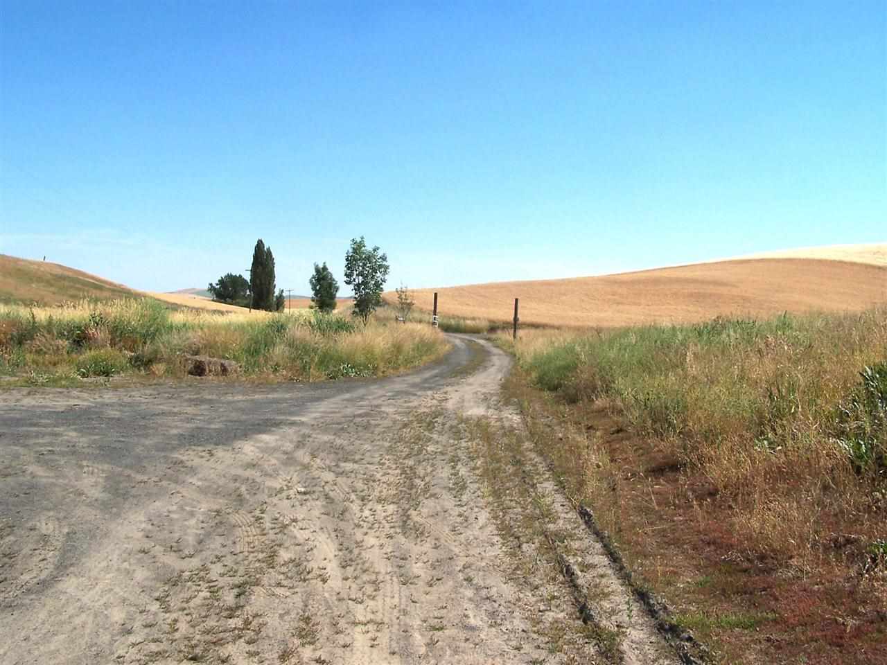 1902 Gashous Rd - Photo 19