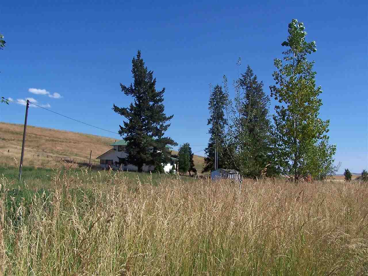 1902 Gashous Rd - Photo 4