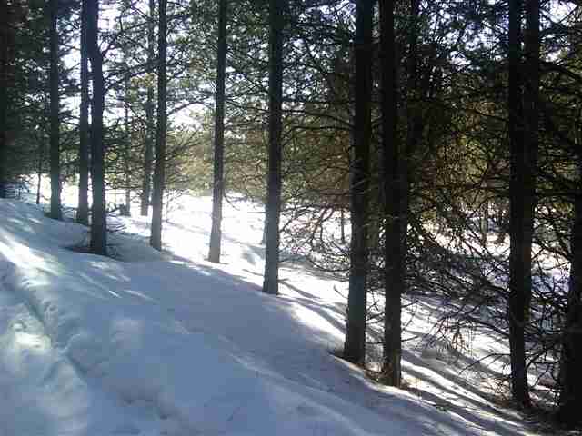 1423 Hill Top Rd - Photo 7