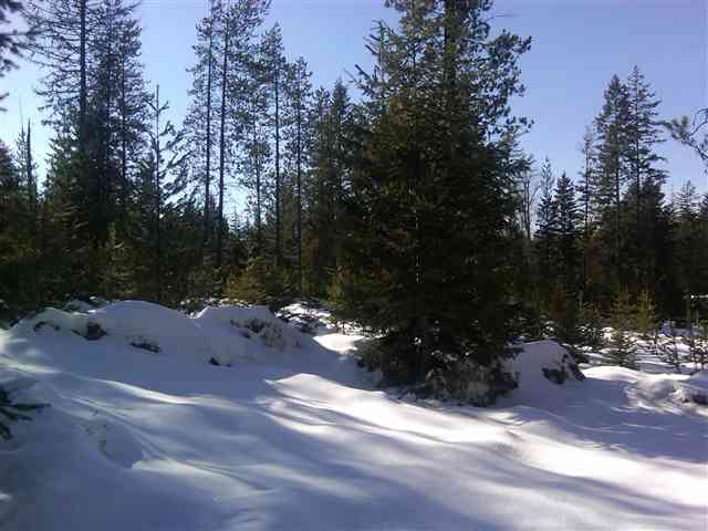 1423 Hill Top Rd - Photo 9