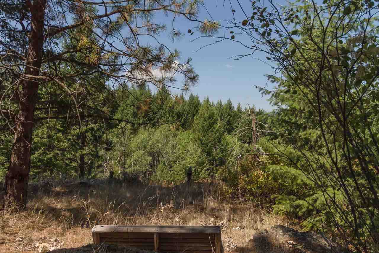 2584 Bridgeman-Rettinger Rd - Photo 13
