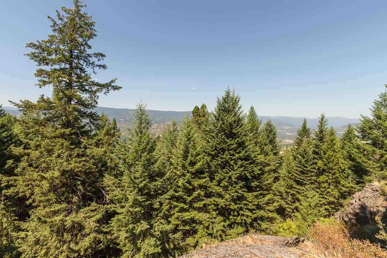 2584 Bridgeman-Rettinger Rd - Photo 14