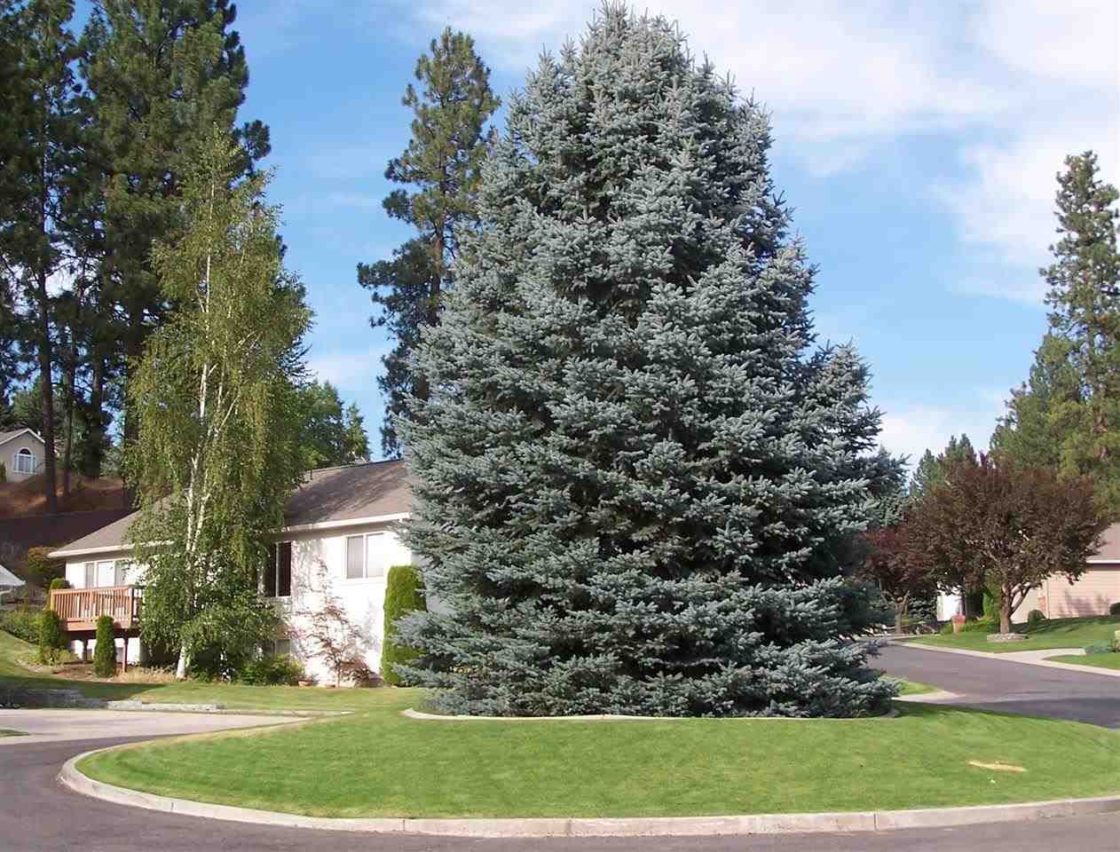 12319 E Southwood Ln - Photo 20