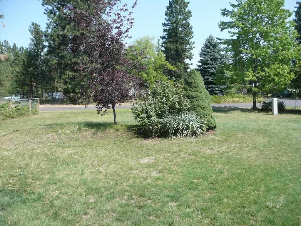 16343 N Sunrise Dr - Photo 16