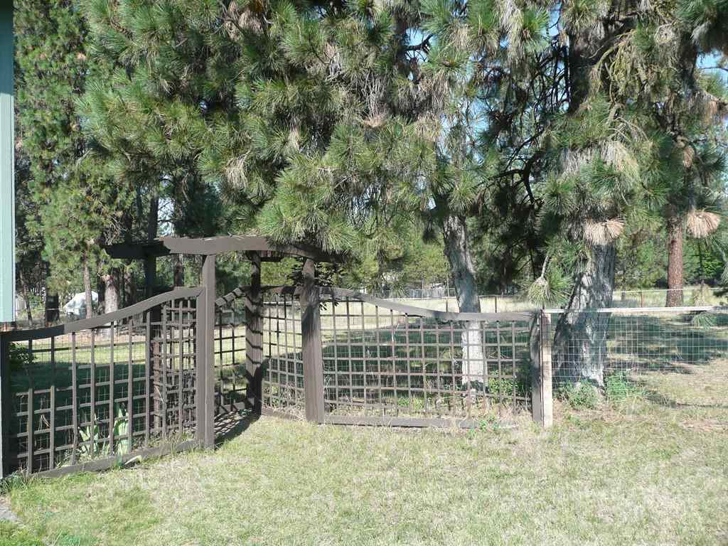 16343 N Sunrise Dr - Photo 18