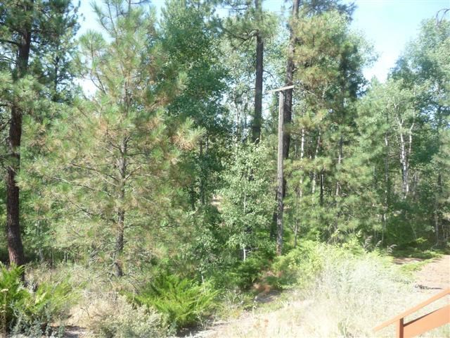 15309 S Cheney Spokane Rd - Photo 16