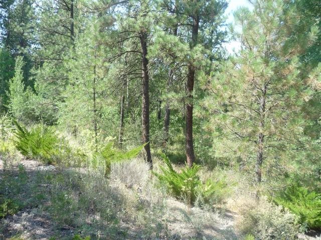 15309 S Cheney Spokane Rd - Photo 17