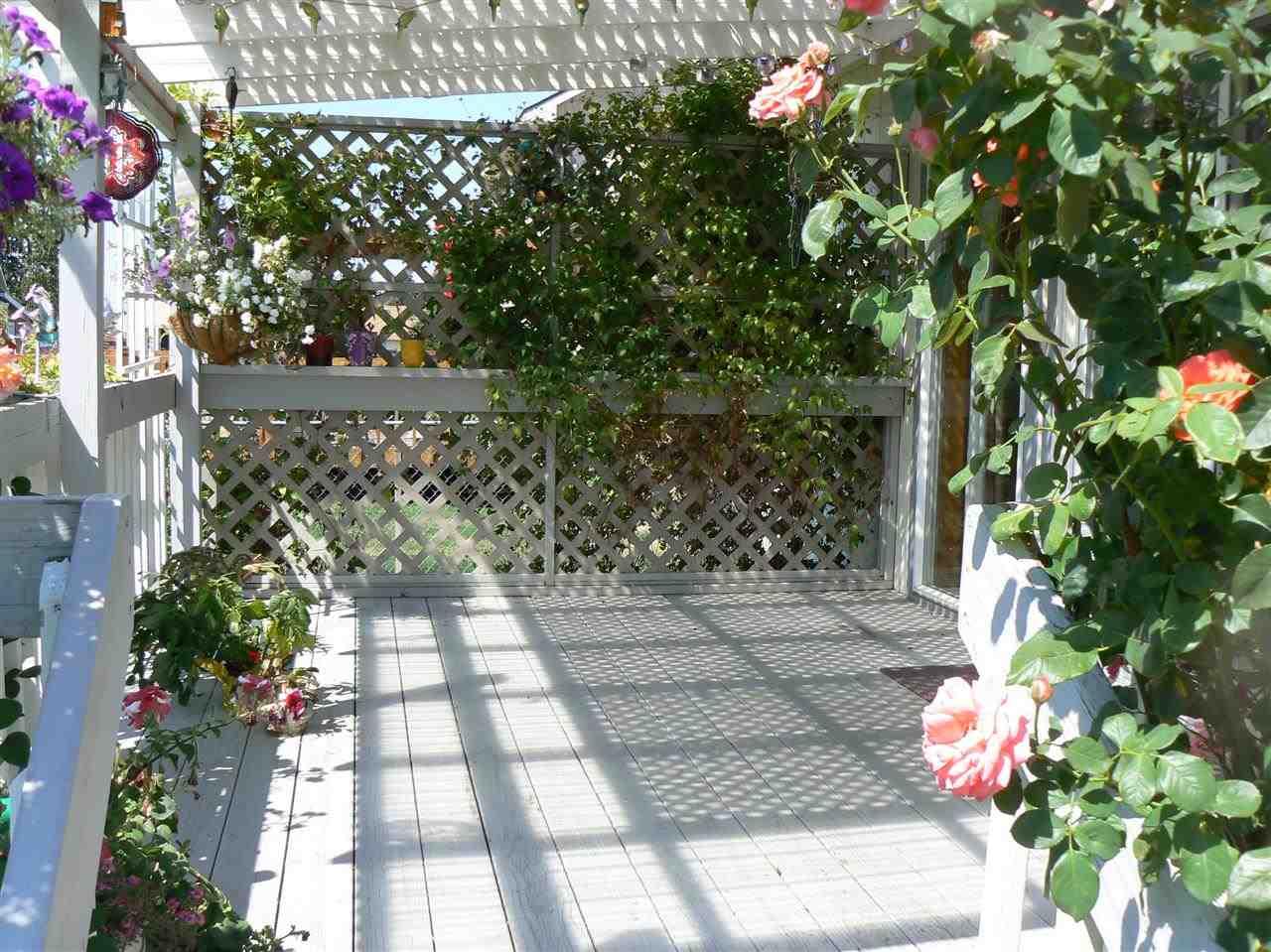 14408 E Mallon - Photo 19