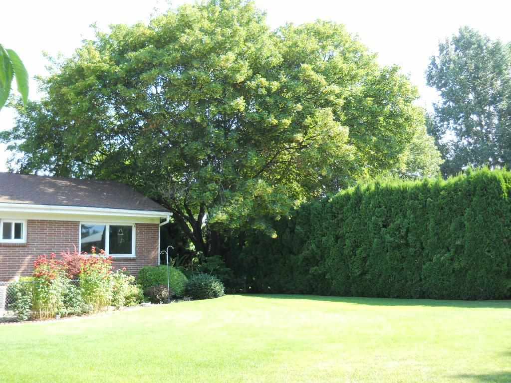 18208 E 4th Ave - Photo 10