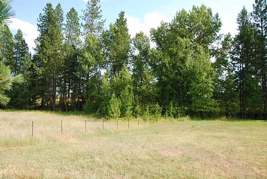 5122 Glen Grove Staley Rd - Photo 19