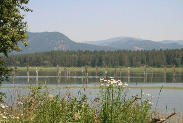 147 River Road - Photo 5