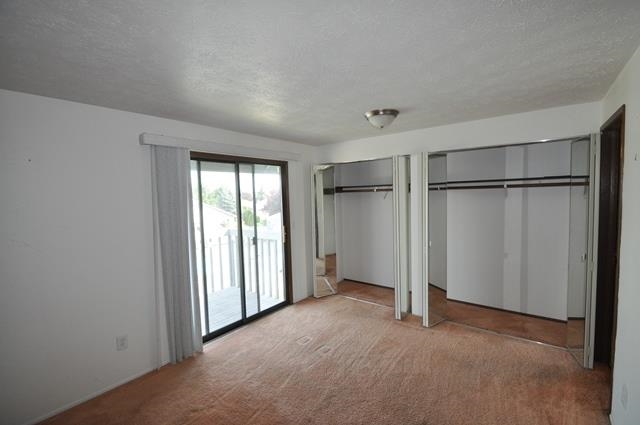 23003 E COLT - Photo 12