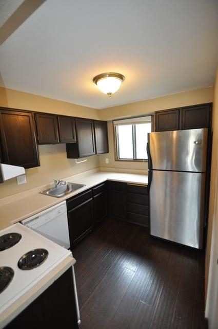 23003 E COLT - Photo 8