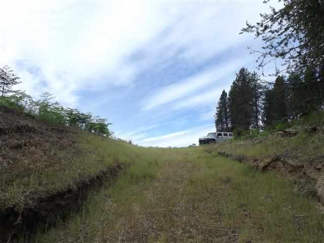 2432 Hwy 31 - Photo 12