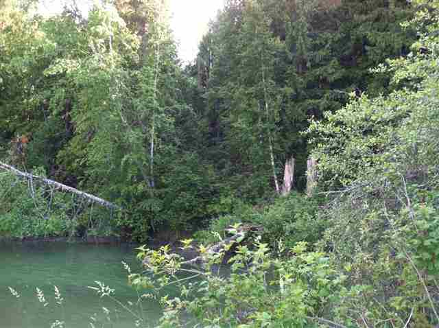 2432 Hwy 31 - Photo 15
