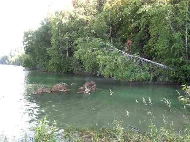 2432 Hwy 31 - Photo 16