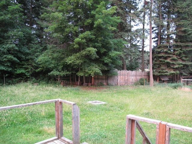 5155-g W Casberg Burroughs Road - Photo 15
