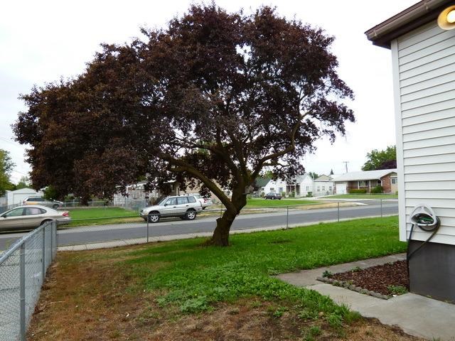 804 E Gordon Ave - Photo 13