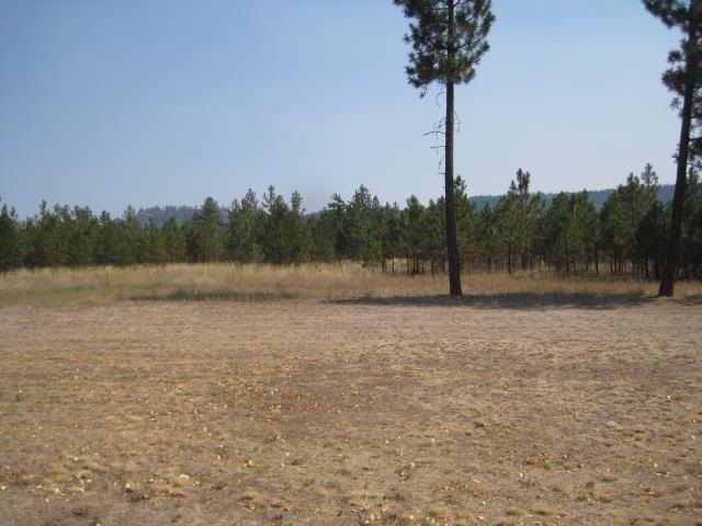 7263-B Hwy 291 - Photo 18