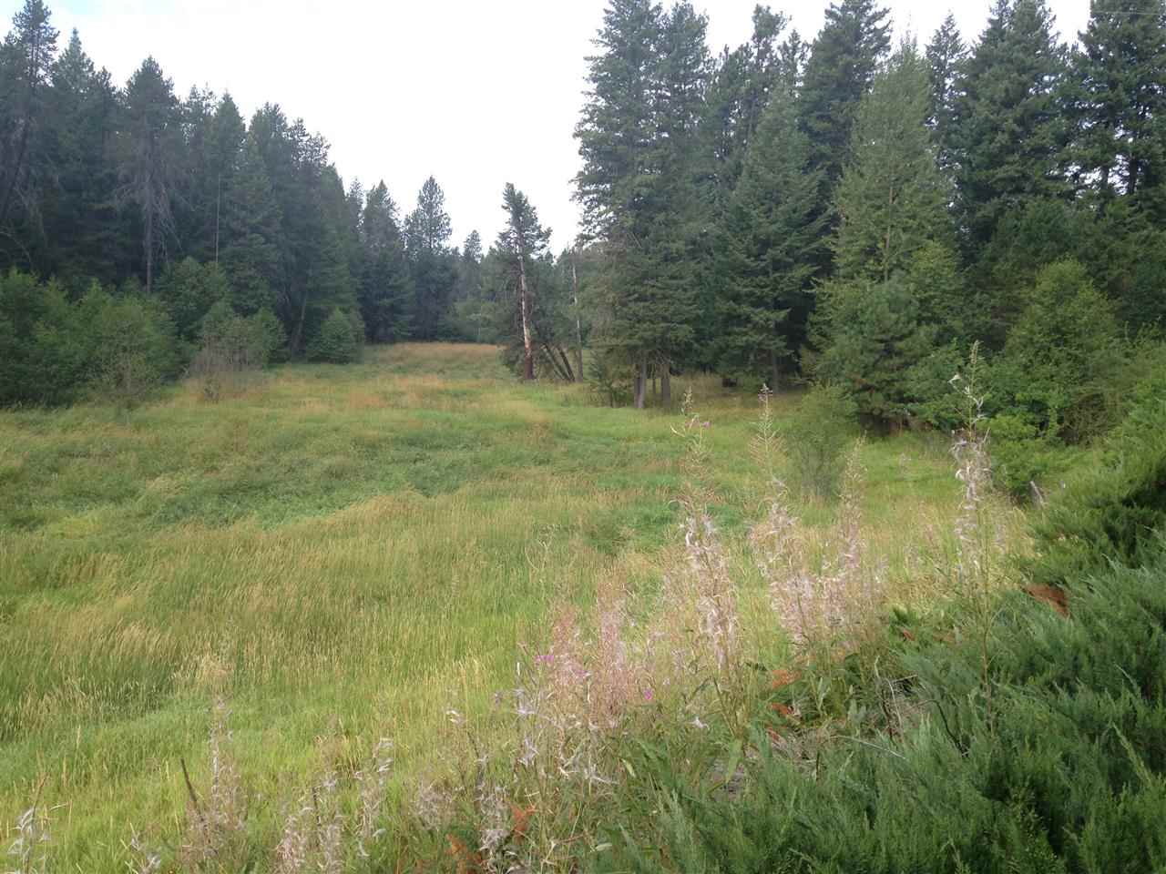37010 N Rabe Rd - Photo 12